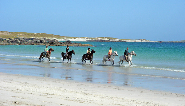 Horse Riding on the beach at the Point Trekking Centre