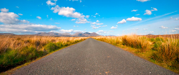 bog_road_entrance