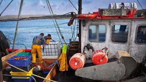 Festival of the Sea @ Cleggan | Cleggan | Galway | Ireland